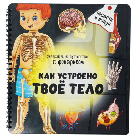 Книжка с фонариком "Познаю мир", 210х230 мм, 12 страниц, АССОРТИ, Бимбимон