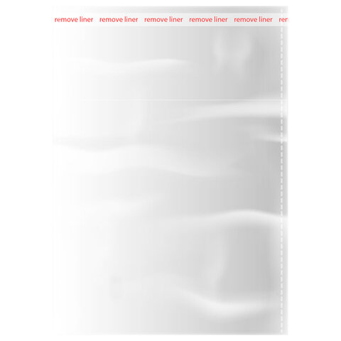 Пакеты БОПП с клеевым клапаном, КОМПЛЕКТ 100шт, 10х10+4см, 25 мкм с усиленным швом, BRAUBERG, 700404