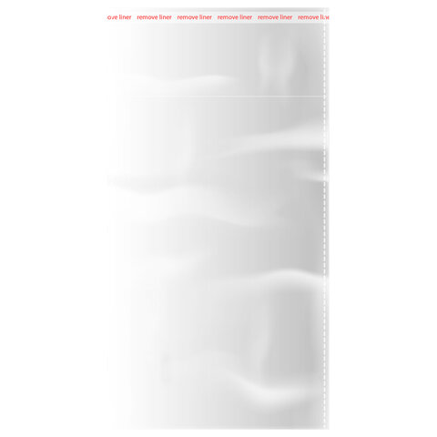 Пакеты БОПП с клеевым клапаном, КОМПЛЕКТ 100шт, 10х15+4см, 25 мкм с усиленным швом, BRAUBERG, 700405