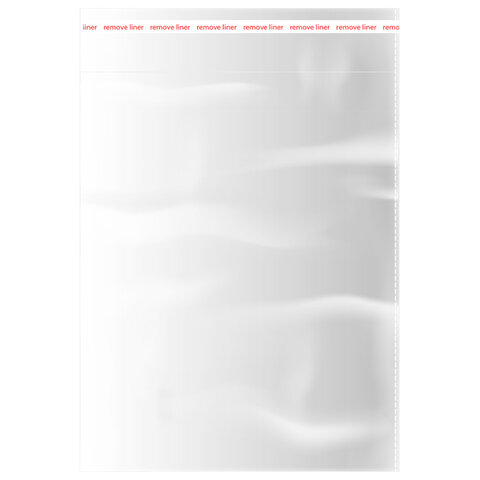 Пакеты БОПП с клеевым клапаном, КОМПЛЕКТ 100шт, 20х25+4см, 30мкм с усиленным швом, BRAUBERG, 700407