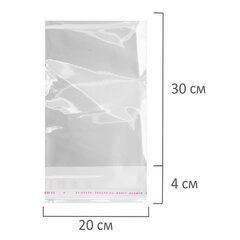 Пакеты БОПП с клеевым клапаном, КОМПЛЕКТ 100 штук, 20&times;30 + 4 см, 30 мкм, с усиленным швом, BRAUBERG, 700408