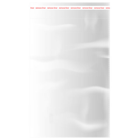 Пакеты БОПП с клеевым клапаном, КОМПЛЕКТ 100шт, 20х30+4см, 30 мкм с усиленным швом, BRAUBERG, 700408