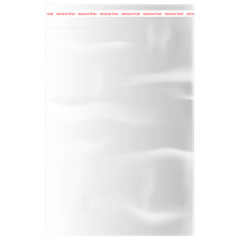 Пакеты БОПП с клеевым клапаном, КОМПЛЕКТ 100шт, 25х35+4см, 30мкм с усиленным швом, BRAUBERG, 700409