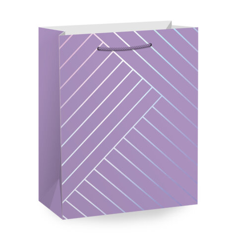 Пакет подарочный (1 штука) 18х10х23 см (M), "Leather Bag", ассорти, с тиснением, ЗОЛОТАЯ СКАЗКА, 700811 - фото 2