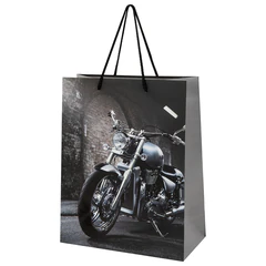 Пакет подарочный (1 штука) 26&times;13&times;32 см (L), &laquo;Man Style&raquo;, ассорти, фольга, выборочный лак, ЗОЛОТАЯ СКАЗКА, 700813