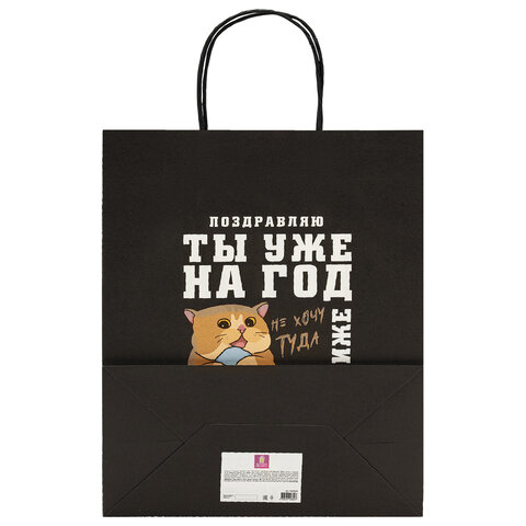 Пакет подарочный (1 штука) 26х13х32 см (L) "Funny Notes", ассорти, крафт, ЗОЛОТАЯ СКАЗКА, 700824