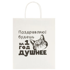 Пакет подарочный (1 штука) 26&times;13&times;32 см (L) &laquo;Funny Notes&raquo;, ассорти, крафт, ЗОЛОТАЯ СКАЗКА, 700824