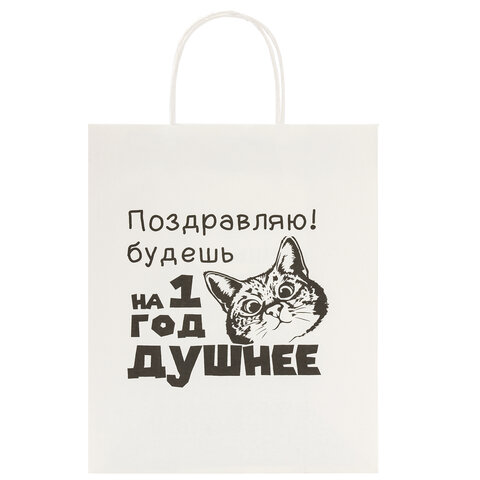 Пакет подарочный (1 штука) 26х13х32 см (L) "Funny Notes", ассорти, крафт, ЗОЛОТАЯ СКАЗКА, 700824