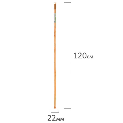 Черенок рукоятка 120см еврорезьба, дерево + лак (ЭВКАЛИПТ), d=2,2см, BOOMHOUSE, 700890