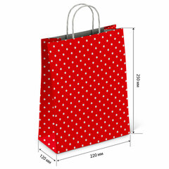 Крафт-пакет бумажный &laquo;Горох на красном&raquo; 22&times;12&times;25 см, с кручеными ручками, 100 г/<wbr/>м<sup>2</sup>, белый, 112979