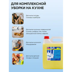 Средство для мытья посуды 5 л, ЗОЛУШКА, концентрат, "Лимон"