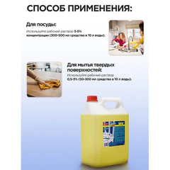 Средство для мытья посуды 5 л, ЗОЛУШКА, концентрат, "Лимон"