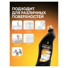 Средство для удаления ржавчины, известкового налета, кислотное, 750 мл, GRASS GLOSS-GEL PROFESSIONAL