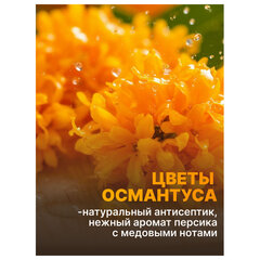Средство для мытья посуды 450 мл, AOS &laquo;Османтус&raquo;