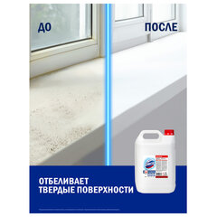 Средство универсальное, отбеливатель 5 л, ДОМЕСТОС 5 в 1 "Белоснежный" (БЕЛИЗНА)