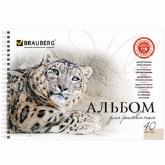 Альбомы для рисования ДЭК А4, 40 л., КОМПЛЕКТ 2 шт., гребень, обложка картон, BRAUBERG, 205&times;290 мм, &laquo;Хищники&raquo; (2 вида), 880028