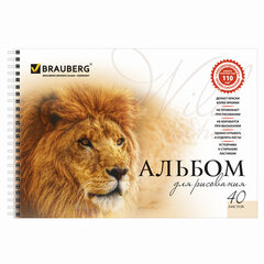 Альбомы для рисования ДЭК А4, 40 л., КОМПЛЕКТ 4 шт., гребень, обложка картон, BRAUBERG, 205&times;290 мм, &laquo;Хищники&raquo; (2 вида), 880032