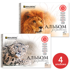 Альбомы для рисования ДЭК А4, 40 л., КОМПЛЕКТ 4 шт., гребень, обложка картон, BRAUBERG, 205&times;290 мм, &laquo;Хищники&raquo; (2 вида), 880032