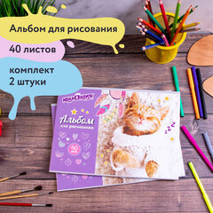 Альбомы для рисования ДЭК А4, 40 л., КОМПЛЕКТ 2 шт., скоба, обложка картон, ЮНЛАНДИЯ, 202&times;285 мм, &laquo;Кот в свитере&raquo;, 880042