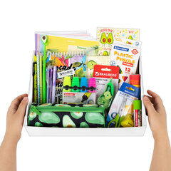 Набор канцелярии подарочный BRAUBERG &laquo;AVOCADO&raquo;, 18 наименований, 43 предмета, 880951