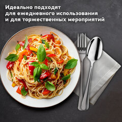 Набор столовых приборов STANDARD 18 шт., 6 персон серебристый нержавеющая сталь, гофрокартон, DASWERK (ДАСВЕРК), 881141