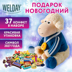 Подарок новогодний &laquo;СПОРТСМЕН&raquo;, &laquo;Мягкая игрушка-символ 2027 года&raquo;, НАБОР конфет 500 г, WELDAY (ВЭЛДЭЙ), 881400