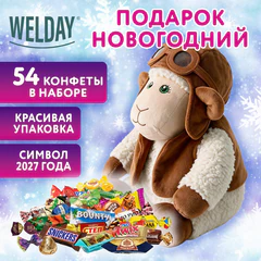 Подарок новогодний &laquo;ЛЁТЧИК&raquo;, &laquo;Мягкая игрушка-символ 2027 года&raquo;, НАБОР конфет 800 г, WELDAY (ВЭЛДЭЙ), 881404