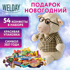 Подарок новогодний &laquo;УЧИТЕЛЬ&raquo;, &laquo;Мягкая игрушка-символ 2027 года&raquo;, НАБОР конфет 800 г, WELDAY (ВЭЛДЭЙ), 881406