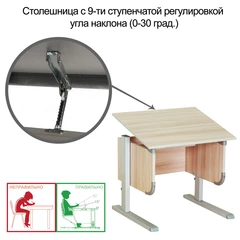 Стол-парта регулируемый &laquo;ДЭМИ&raquo; СУТ.28, 900&times;530&times;530-815 мм, серый/<wbr/>ясень (КОМПЛЕКТ)
