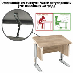 Стол-парта регулируемый &laquo;ДЭМИ&raquo; СУТ.41, 750&times;550&times;530-815 мм, серый каркас, пластик бежевый, дуб сонома (КОМПЛЕКТ)