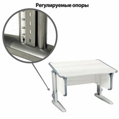 Стол-парта регулируемый &laquo;ДЭМИ&raquo; СУТ.43, 1000&times;550&times;530-815 мм, серый каркас, пластик серый, рамух белый (КОМПЛЕКТ)