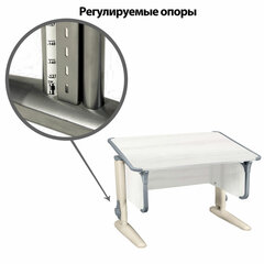 Стол-парта регулируемый &laquo;ДЭМИ&raquo; СУТ.43, 1000&times;550&times;530-815 мм, бежевый каркас, пластик серый, рамух белый (КОМПЛЕКТ)