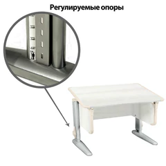 Стол-парта регулируемый &laquo;ДЭМИ&raquo; СУТ.43, 1000&times;550&times;530-815 мм, серый каркас, пластик бежевый, рамух белый (КОМПЛЕКТ)